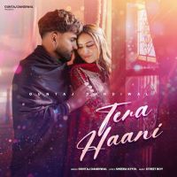 Tera Haani Guntaj Dandiwal mp3 song download, Tera Haani Guntaj Dandiwal full album mp3 song