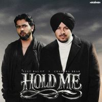 HOLD ME Veet Baljit, Chandra Brar mp3 song download, HOLD ME Veet Baljit, Chandra Brar full album mp3 song