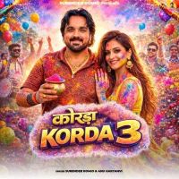 Korda 3 Surender Romio, Anu Haryanvi mp3 song download, Korda 3 Surender Romio, Anu Haryanvi full album mp3 song