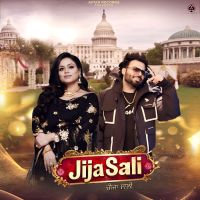 Jija Sali Sarthi K mp3 song download, Jija Sali Sarthi K full album mp3 song