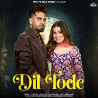 Dil Tode DJ Flow mp3 song download, Dil Tode DJ Flow full album mp3 song