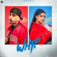 Whip Jasmeen Akhtar mp3 song download, Whip Jasmeen Akhtar full album mp3 song