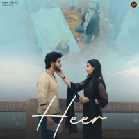Heer Swara Verma mp3 song download, Heer Swara Verma full album mp3 song