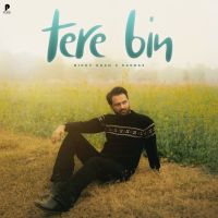 Tere Bin Ricky Khan mp3 song download, Tere Bin Ricky Khan full album mp3 song