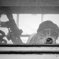 Gangster Why Mani Longia mp3 song download, Gangster Why Mani Longia full album mp3 song