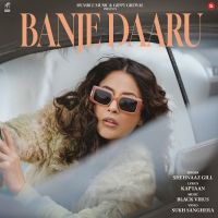 Banje Daaru Shehnaaz Gill mp3 song download, Banje Daaru Shehnaaz Gill full album mp3 song