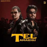 TEL TAMAKHU Amit Saini Rohtakiya mp3 song download, TEL TAMAKHU Amit Saini Rohtakiya full album mp3 song