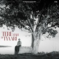 Tere Viah Di Tyaari Armaan Bedil mp3 song download, Tere Viah Di Tyaari Armaan Bedil full album mp3 song