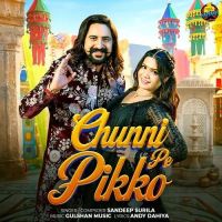 Chunni Pe Pikko Sandeep Surila mp3 song download, Chunni Pe Pikko Sandeep Surila full album mp3 song