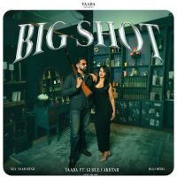 Big Shot YAADA mp3 song download, Big Shot YAADA full album mp3 song