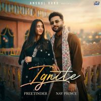 Ignite Preetinder mp3 song download, Ignite Preetinder full album mp3 song