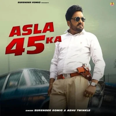 Asla 45 Ka Surender Romio, Ashu Twinkle mp3 song download, Asla 45 Ka Surender Romio, Ashu Twinkle full album mp3 song