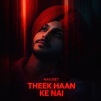 Theek Haan Ke Nai Navjeet mp3 song download, Theek Haan Ke Nai Navjeet full album mp3 song