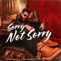 SORRY,NOT SORRY! Prabh Saini mp3 song download, SORRY,NOT SORRY! Prabh Saini full album mp3 song