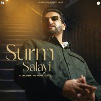 Surm Salayi Sajjan Adeeb mp3 song download, Surm Salayi Sajjan Adeeb full album mp3 song