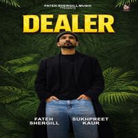 Dealer Fateh Shergill mp3 song download, Dealer Fateh Shergill full album mp3 song