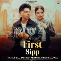 First Sipp Namar Gill mp3 song download, First Sipp Namar Gill full album mp3 song