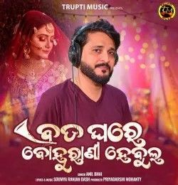 Bada Ghare Bahurani Habulo Anil Bhai mp3 song download, Bada Ghare Bahurani Habulo Anil Bhai full album mp3 song