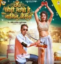 Chhaudi Nacho Hai Nagin Jaisan Amit Ashik , Khushi Kakkar mp3 song download, Chhaudi Nacho Hai Nagin Jaisan Amit Ashik , Khushi Kakkar full album mp3 song
