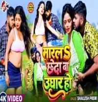 Marala Chheda Ba Ughar Ho Shailesh Premi mp3 song download, Marala Chheda Ba Ughar Ho Shailesh Premi full album mp3 song