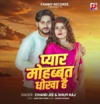 Pyar Mohabbat Dhokha Hai Chand Jee, Shilpi Raj mp3 song download, Pyar Mohabbat Dhokha Hai Chand Jee, Shilpi Raj full album mp3 song