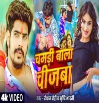 Chamdi Wala Chizba Raushan Rohi, Srishti Bharti mp3 song download, Chamdi Wala Chizba Raushan Rohi, Srishti Bharti full album mp3 song