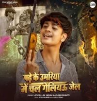 Padhe Ke Umariya Me Chal Geliau Jail Ayush Lal Yadav, Anjali Bharti mp3 song download, Padhe Ke Umariya Me Chal Geliau Jail Ayush Lal Yadav, Anjali Bharti full album mp3 song