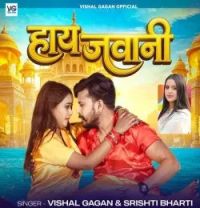 Hay Jawani Vishal Gagan, Srishti Bharti mp3 song download, Hay Jawani Vishal Gagan, Srishti Bharti full album mp3 song