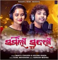 Sharmili Sundari Mantu Chhuria, Aseema Panda mp3 song download, Sharmili Sundari Mantu Chhuria, Aseema Panda full album mp3 song