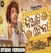 Niali Chhena 2.0 Mantu Chhuria mp3 song download, Niali Chhena 2.0 Mantu Chhuria full album mp3 song