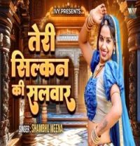 Teri Silkan Ki Salwar Shambhu Meena mp3 song download, Teri Silkan Ki Salwar Shambhu Meena full album mp3 song