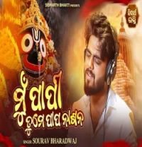 Mu Papi Tume Papa Nasana Sourav Bharadwaj mp3 song download, Mu Papi Tume Papa Nasana Sourav Bharadwaj full album mp3 song