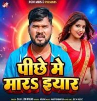 Pichhe Me Mara Eyar Shailesh Premi mp3 song download, Pichhe Me Mara Eyar Shailesh Premi full album mp3 song