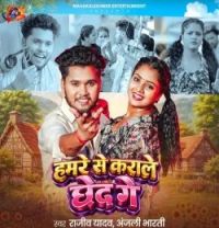 Hamre Se Karale Chhed Ge Rajeev Yadav, Anjali Bharti mp3 song download, Hamre Se Karale Chhed Ge Rajeev Yadav, Anjali Bharti full album mp3 song