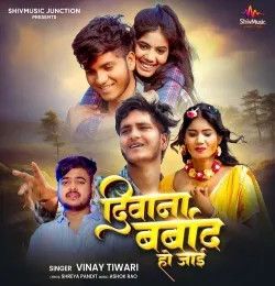 Deewana Barbad Ho Jai Vinay Tiwari mp3 song download, Deewana Barbad Ho Jai Vinay Tiwari full album mp3 song