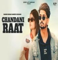 Chandni Raat Rashmi Nishad, Sameer Chouhan mp3 song download, Chandni Raat Rashmi Nishad, Sameer Chouhan full album mp3 song