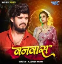 Banwas Aashish Yadav mp3 song download, Banwas Aashish Yadav full album mp3 song