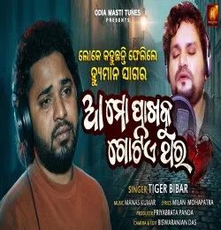 Aa Mo Pakhaku Gotie Thara Tiger mp3 song download, Aa Mo Pakhaku Gotie Thara Tiger full album mp3 song