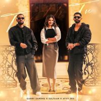 Tu Hi Tu Garry Sandhu mp3 song download, Tu Hi Tu Garry Sandhu full album mp3 song