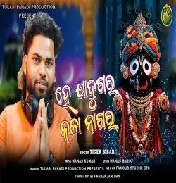 HE JADUGAR KALA NAGRA Tiger Bibar mp3 song download, HE JADUGAR KALA NAGRA Tiger Bibar full album mp3 song