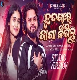 Hrudaya re Jaga Kinilu Tiger Tiger, Baivabi mp3 song download, Hrudaya re Jaga Kinilu Tiger Tiger, Baivabi full album mp3 song