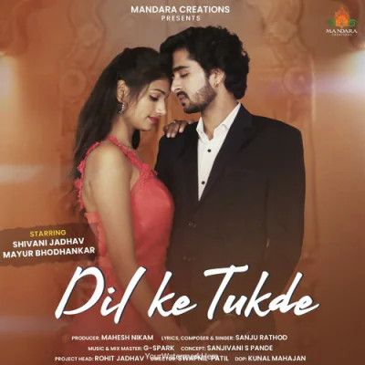 Dil Ke Tukde Sanju Rathod mp3 song download, Dil Ke Tukde Sanju Rathod full album mp3 song