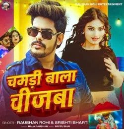 Chamdi Wala Chizwa Raushan Rohi, Srishti Bharti mp3 song download, Chamdi Wala Chizwa Raushan Rohi, Srishti Bharti full album mp3 song