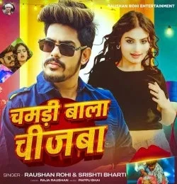 Chamdi Wala Chizwa Raushan Rohi, Srishti Bharti mp3 song download, Chamdi Wala Chizwa Raushan Rohi, Srishti Bharti full album mp3 song