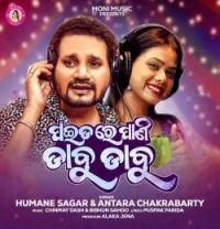PAIDA RE PANI DABU DABU Humane Sagar, Antara Chakrabarty mp3 song download, PAIDA RE PANI DABU DABU Humane Sagar, Antara Chakrabarty full album mp3 song