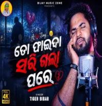 To Faida Sarigala Pare Tiger Bibhar mp3 song download, To Faida Sarigala Pare Tiger Bibhar full album mp3 song