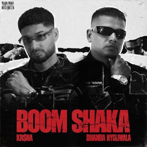 Boom Shaka Krsna, Dhanda Nyoliwala mp3 song download, Boom Shaka Krsna, Dhanda Nyoliwala full album mp3 song