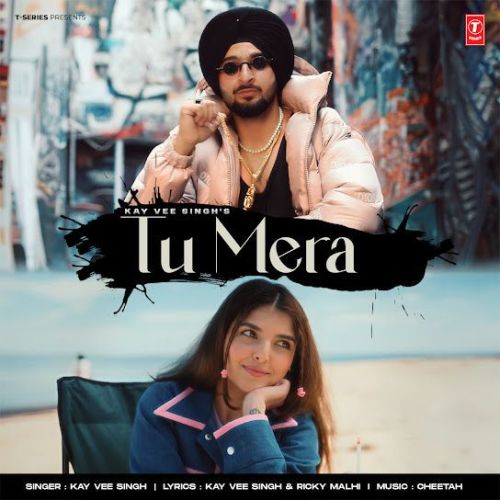 Tu Mera Kay Vee Singh mp3 song download, Tu Mera Kay Vee Singh full album mp3 song