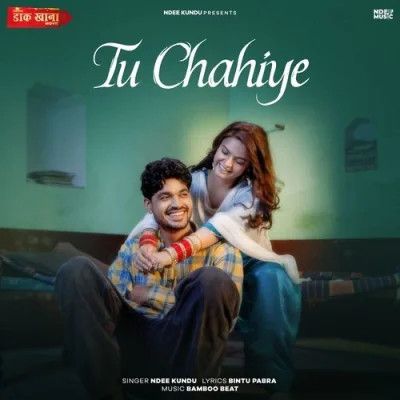 Tu Chahiye Ndee Kundu mp3 song download, Tu Chahiye Ndee Kundu full album mp3 song