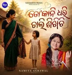 To Kani Dhari Chali Sikhichi Namita Agrawal mp3 song download, To Kani Dhari Chali Sikhichi Namita Agrawal full album mp3 song